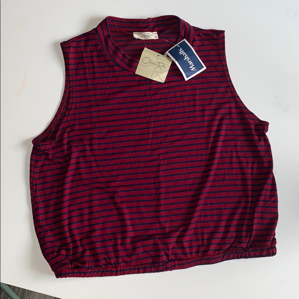 Maroon and navy blue striped crop top